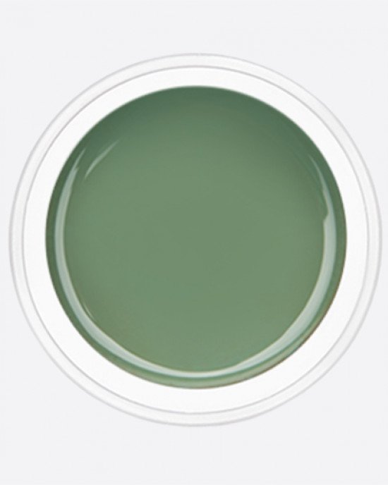 ARTEX artygel 054 аспарагус 10 гр. ARTEX artygel 054 аспарагус 10 гр.