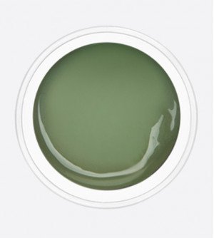ARTEX гель-краска темно-фисташковый 10 гр.  ARTEX гель-краска темно-фисташковый 10 гр.