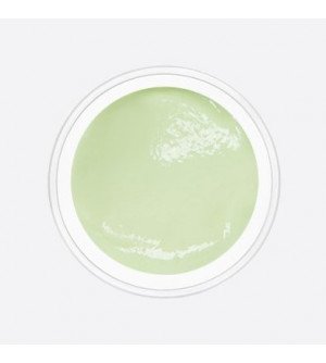 color sculpting artygel пастельно-салатовый 5 гр. color sculpting artygel пастельно-салатовый 5 гр.