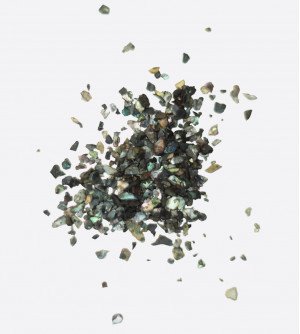 Ракушка черный перламутр 