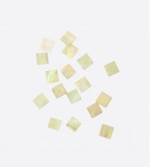 Ракушка геометрия, квадрат бежевый