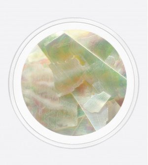 Ракушка натуральная белая 01