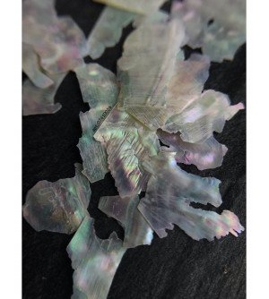 Ракушка натуральная белая 01