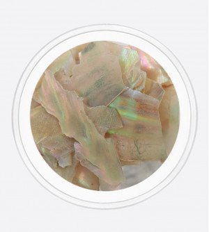 Ракушка натуральная бежевая 02