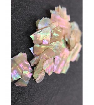 Ракушка натуральная бежевая 02