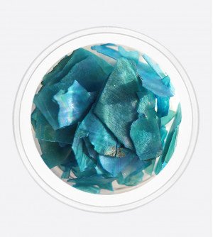 Ракушка натуральная бирюза 09