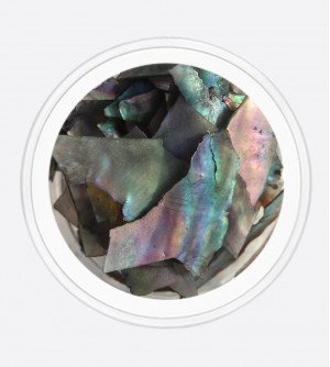 Ракушка натуральная черная 04