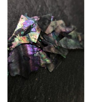 Ракушка натуральная черная 04