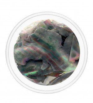 Ракушка натуральная серая 03