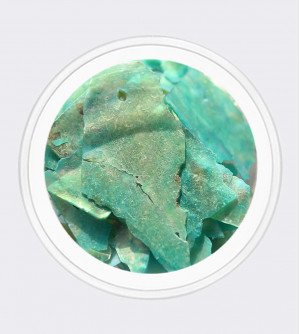 Ракушка натуральная зеленая 06 Ракушка натуральная зеленая 06