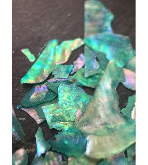 Ракушка натуральная зеленая 06