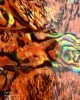 Ракушка раскатанная, оранжевая Ракушка раскатанная, оранжевая