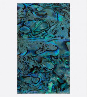 Ракушка раскатанная, ультрамарин